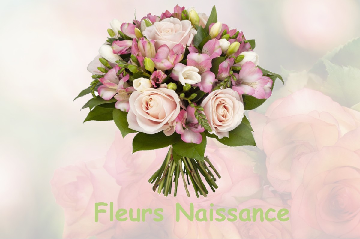 fleurs naissance SAINT-PIERRE-DU-FRESNE